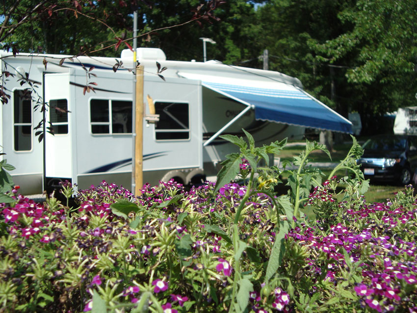 Reservations Riverview RV Park and Marina